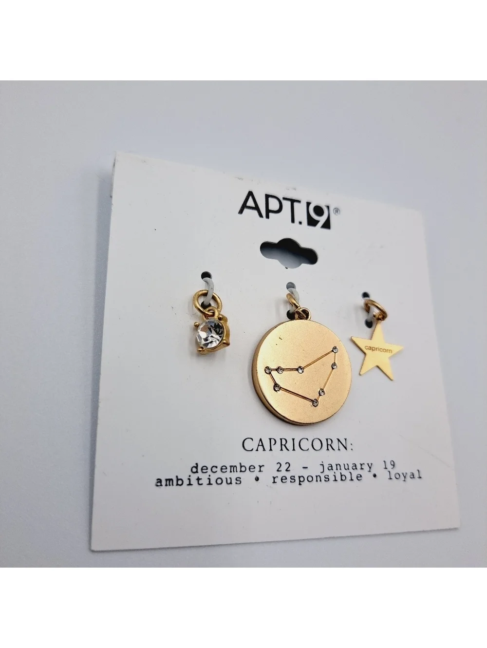 Capricorn Zodiac Pendant Charm Set